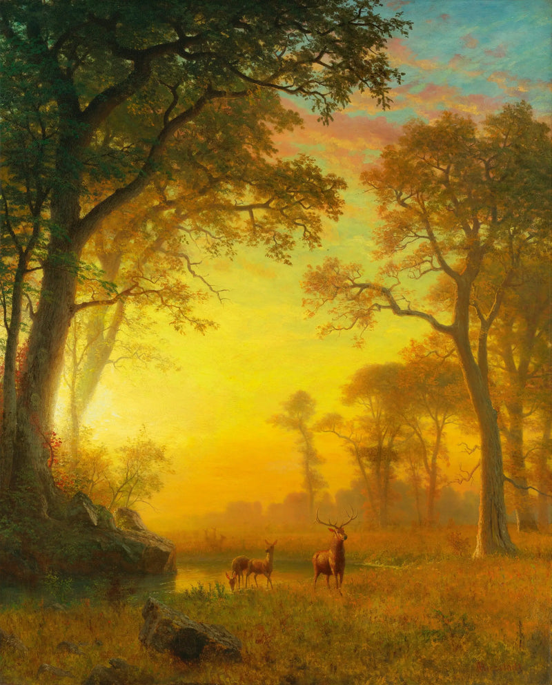 Luz na floresta - Albert Bierstadt