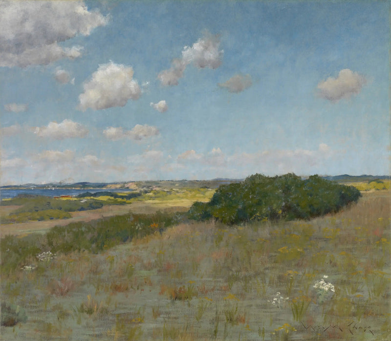 Luz do sol e sombra, Shinnecock Hills - William Merritt Chase