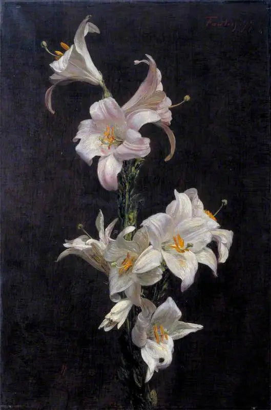 Lis blancas - Henri Fantin-Latour