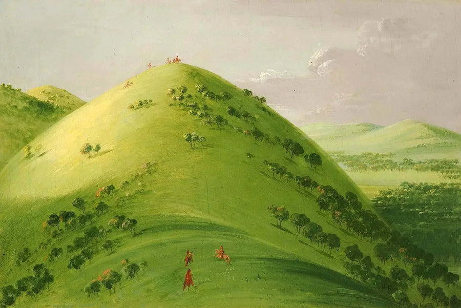 Prados magníficos, Alto Mississippi - George Catlin