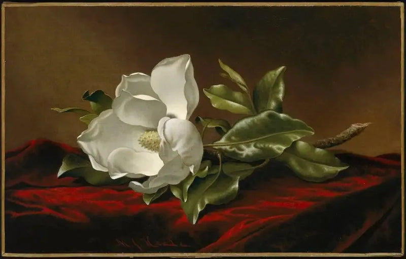 Magnólia de grandes flores - Martin Johnson Heade