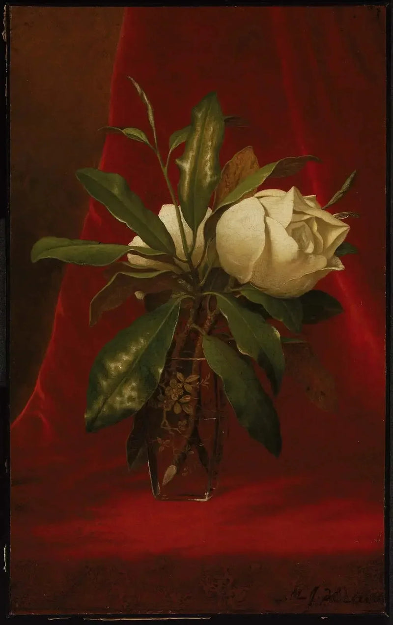 Magnólias - Martin Johnson Heade