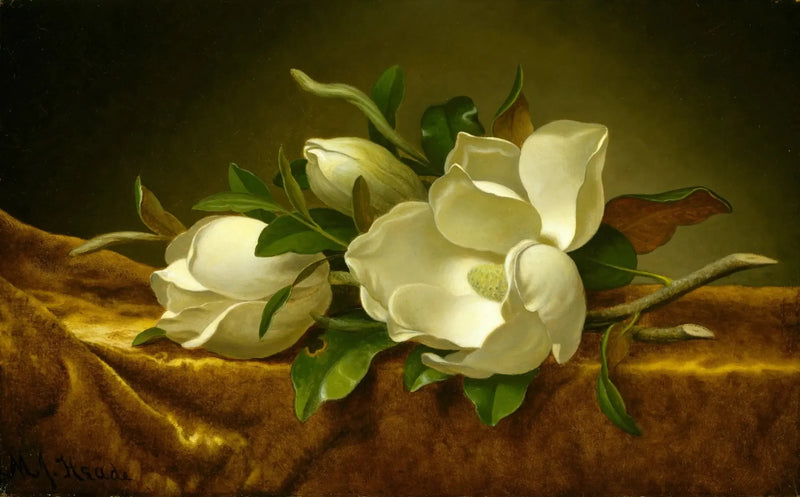 Magnólias em tecido de veludo dourado - Martin Johnson Heade
