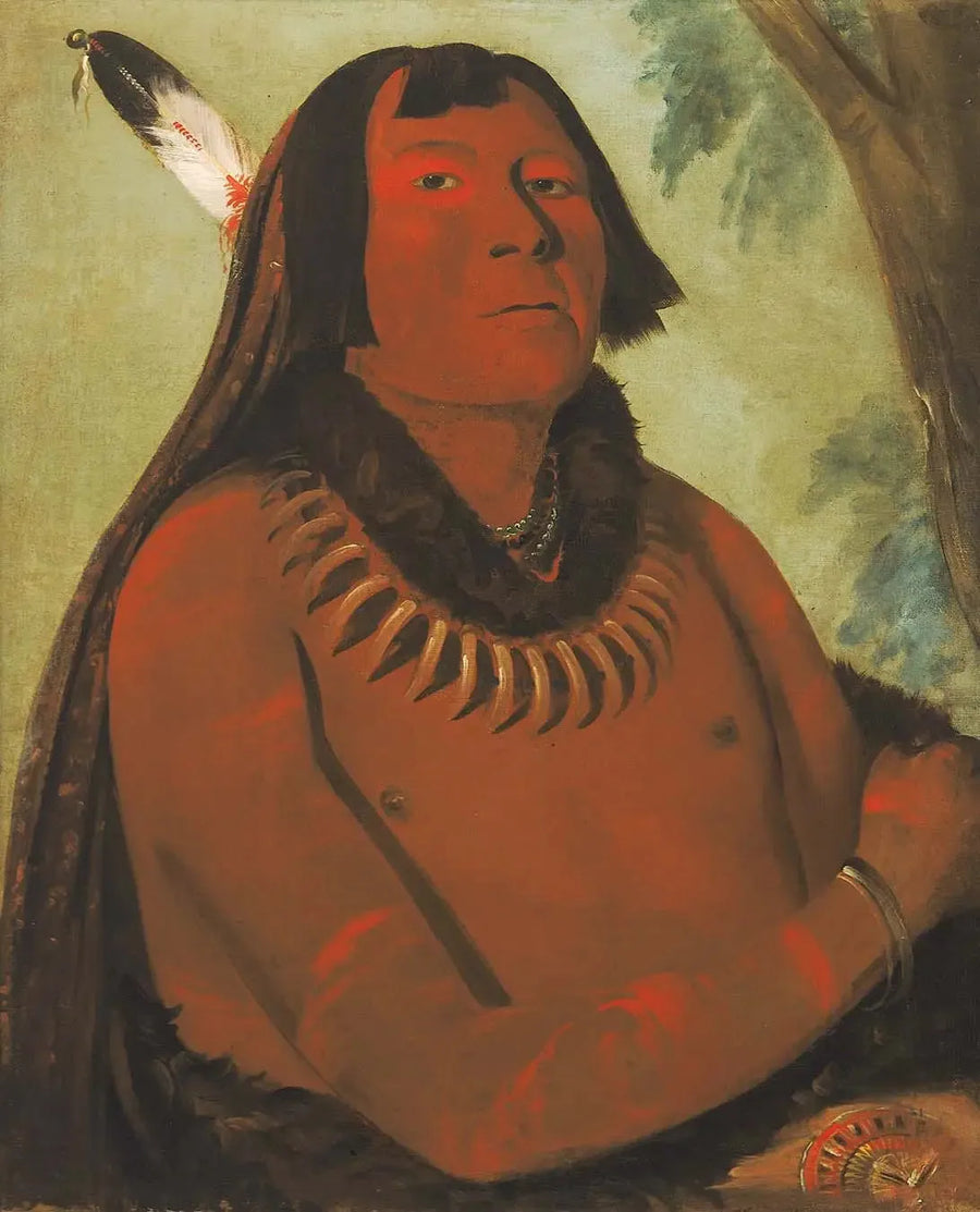 Mah-táhp-ta-a, se precipita no meio, um bravo - George Catlin
