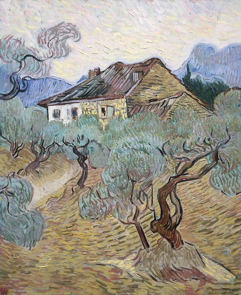 A casa branca entre as oliveiras - Vincent van Gogh