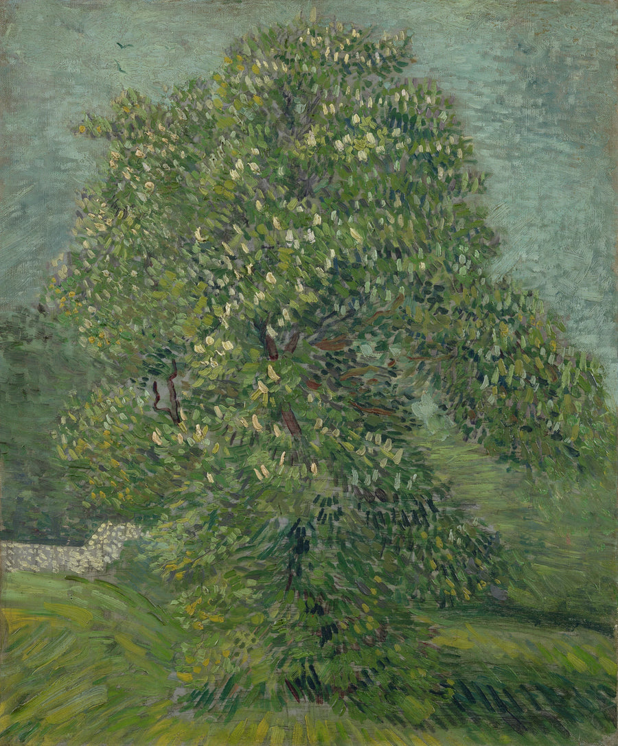 Castanheiro-da-índia em flor - Vincent van Gogh