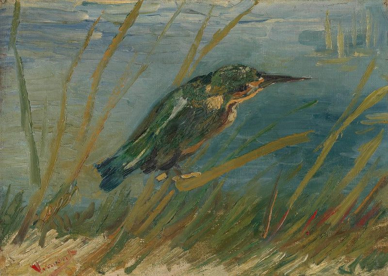 Martim-pescador à beira da água - Vincent van Gogh