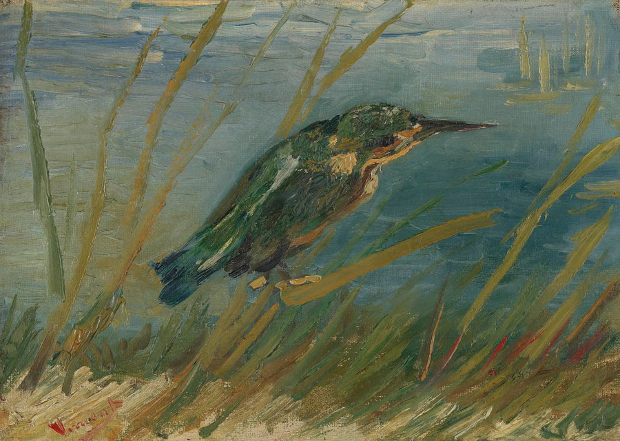 Martim-pescador à beira da água - Vincent van Gogh