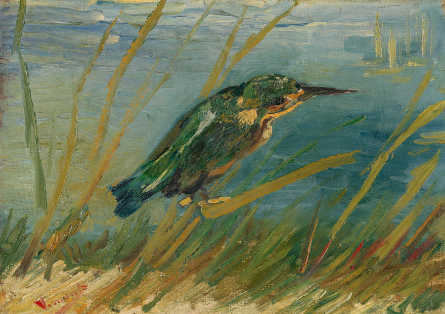 Martim-pescador à beira da água - Vincent van Gogh