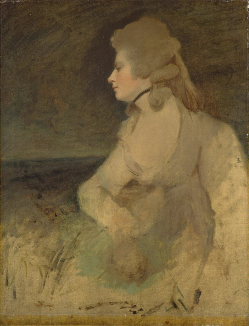 Mary Robinson (nascida Darby) - Joshua Reynolds