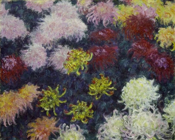 Maciço de crisântemos - Claude Monet
