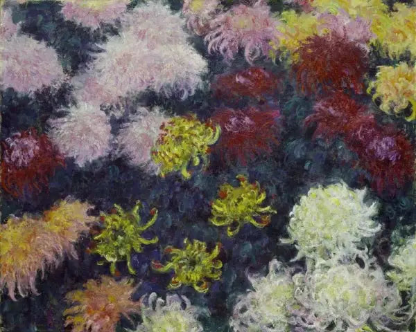 Maciço de crisântemos - Claude Monet