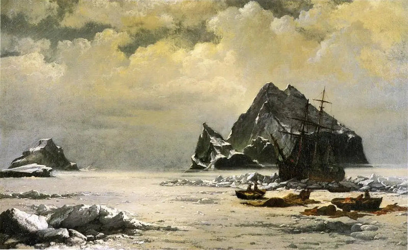 Manhã nos campos de gelo do Ártico - William Bradford