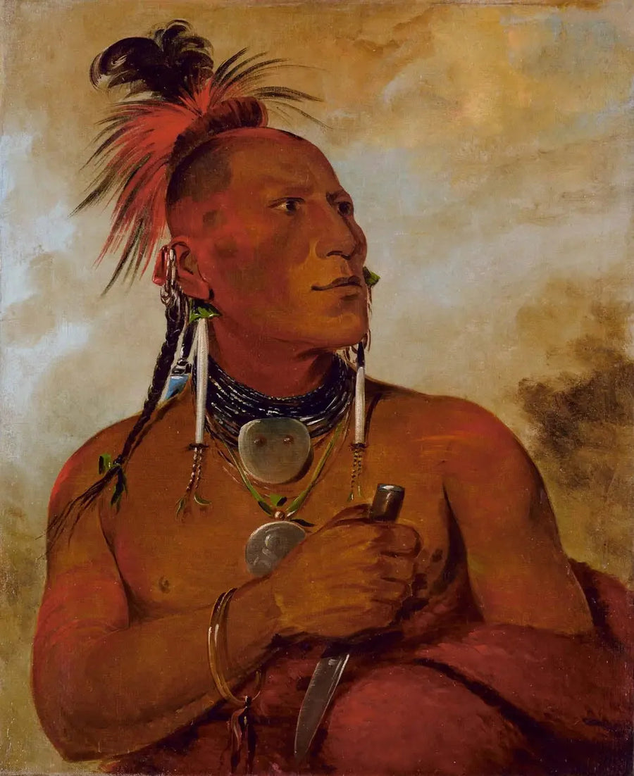 Meach-o-shín-gaw, pequeno urso branco, um bravo distinto - George Catlin