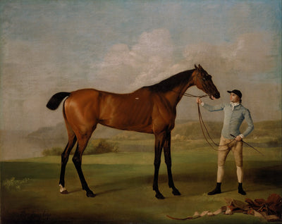 Molly longues jambes avec son jockey - George Stubbs - Alpha Reproduction