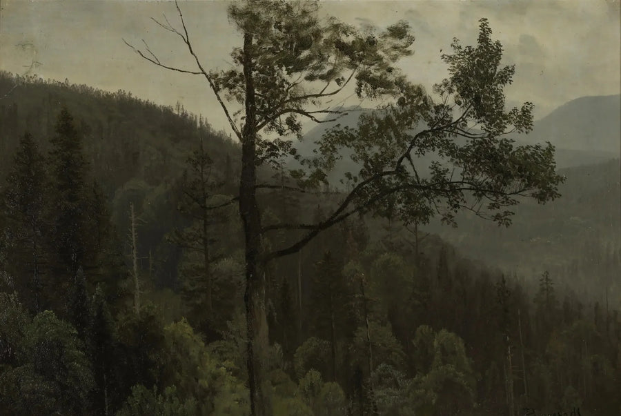 Montanhas cobertas de árvores - Albert Bierstadt