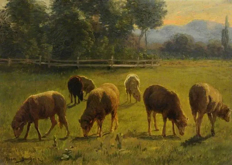 Ovelhas em uma paisagem - Rosa Bonheur
