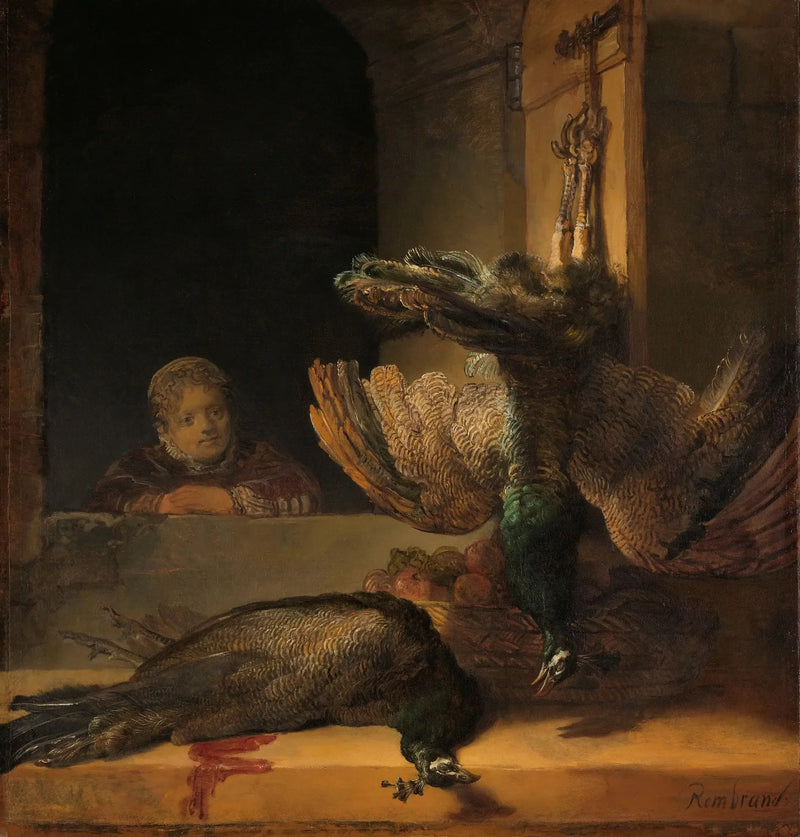Natureza morta com pavões - Rembrandt