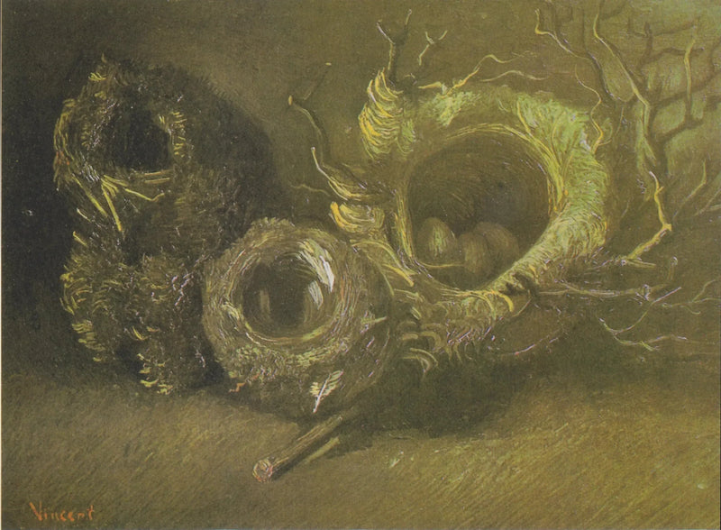 Natureza morta com três ninhos de pássaros - Vincent van Gogh