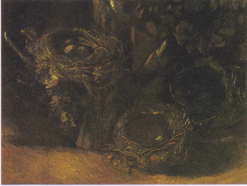Natureza morta com três ninhos de pássaros - Vincent van Gogh