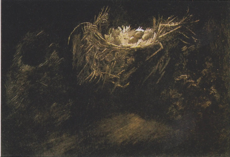 Natureza morta com três ninhos de pássaros - Vincent van Gogh