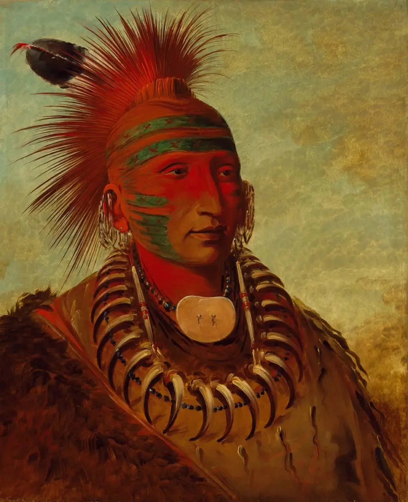 No-ho-mun-ya, Aquele que não presta atenção - George Catlin