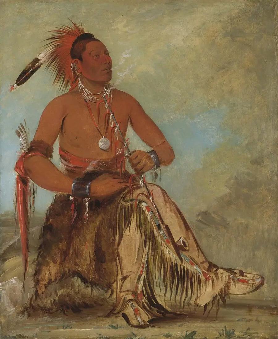 Nóm-ba-mon-nee, Double Walker, um Brave - George Catlin