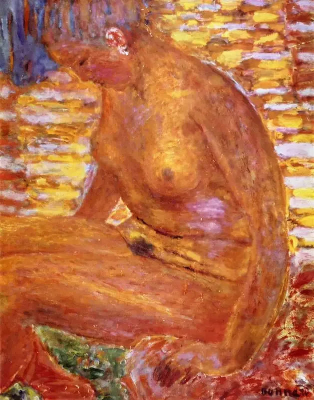 Nu escuro - Pierre Bonnard