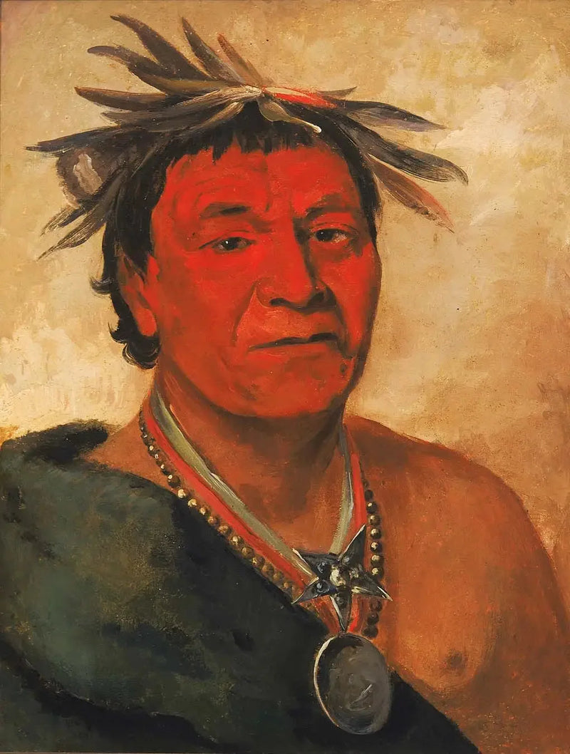 O-ho-páh-sha, Small Whoop, um guerreiro distinto - George Catlin