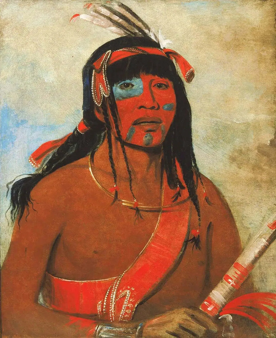 O-tá-wah, o Ottaway, um guerreiro - George Catlin
