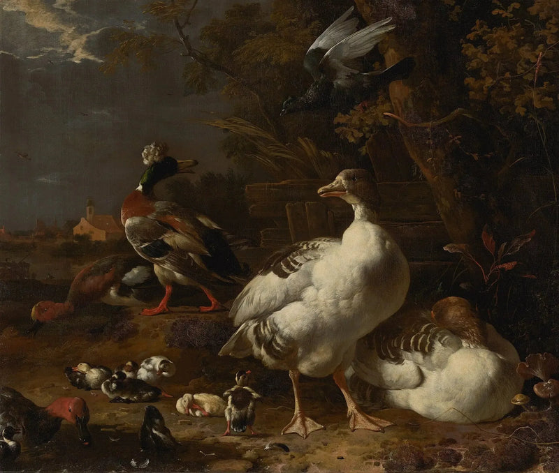  Gansos e patos - Melchior de Hondecoeter