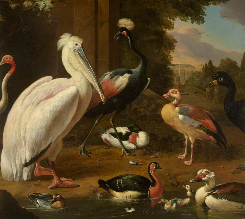 Aves aquáticas - Melchior de Hondecoeter