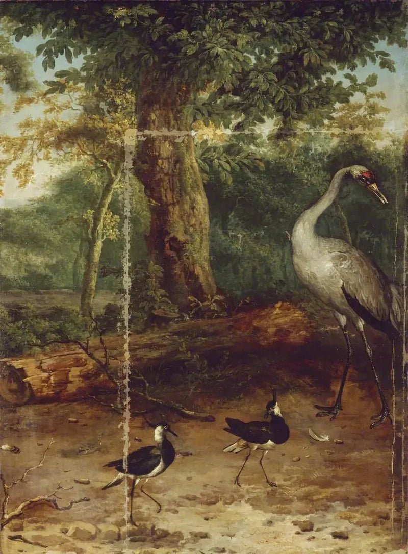 Pássaros em uma floresta - Melchior de Hondecoeter