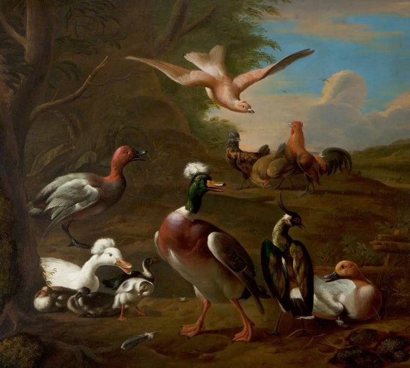 Pássaros em uma paisagem - Melchior de Hondecoeter