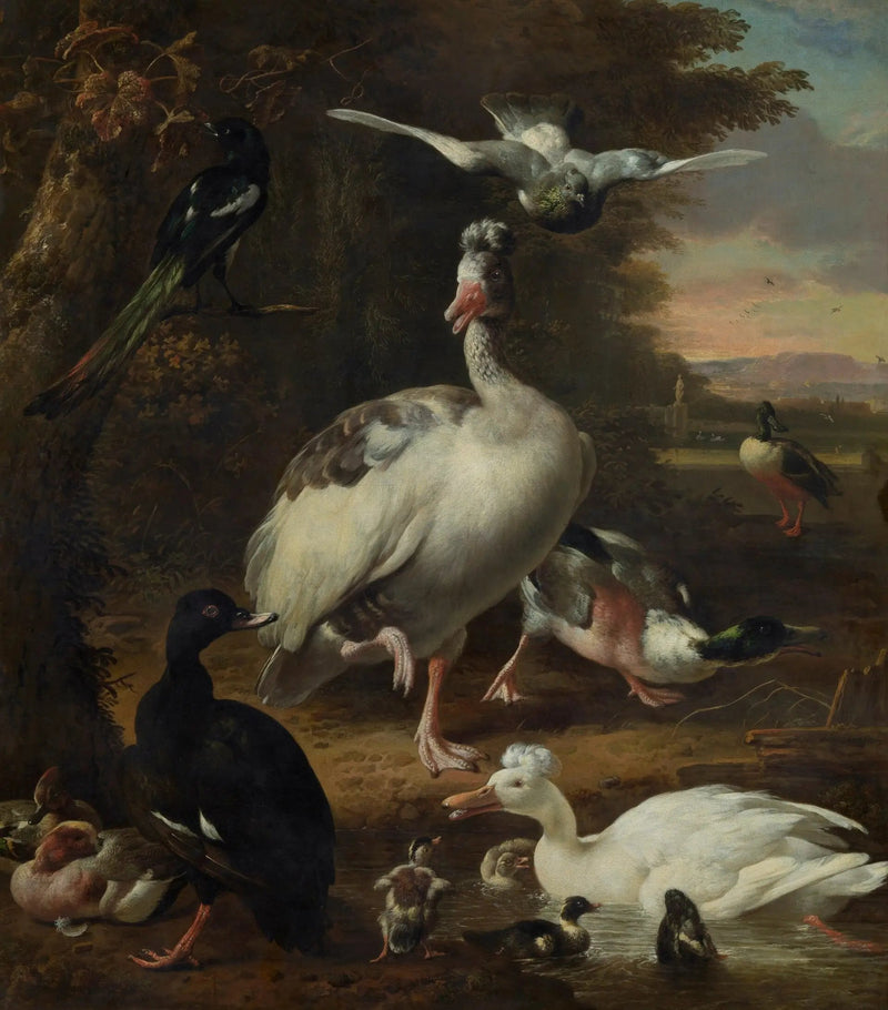 Pássaros - Melchior de Hondecoeter