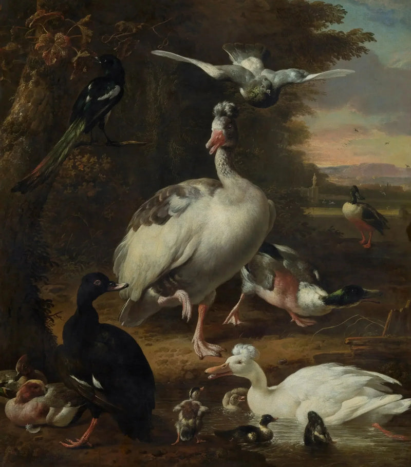 Pássaros - Melchior de Hondecoeter