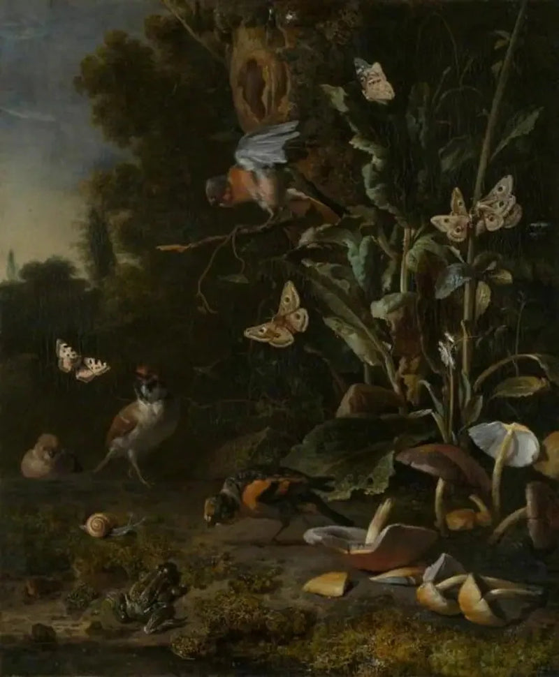 Pássaros, borboletas e uma rã entre plantas e cogumelos - Melchior de Hondecoeter