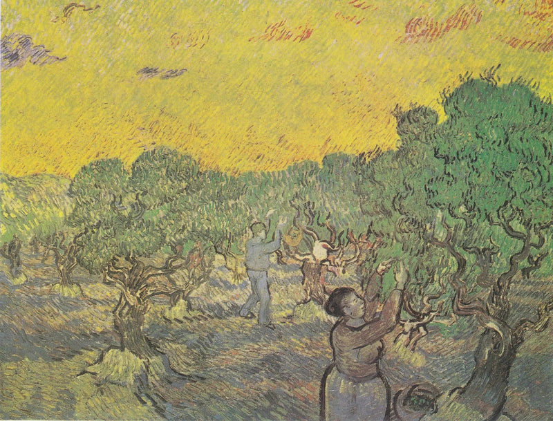 Olival com figuras de colheita - Vincent van Gogh