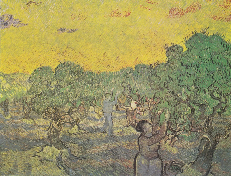 Olival com figuras de colheita - Vincent van Gogh