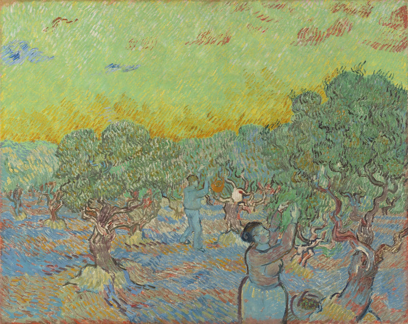 Olival com figuras de colheita - Vincent van Gogh