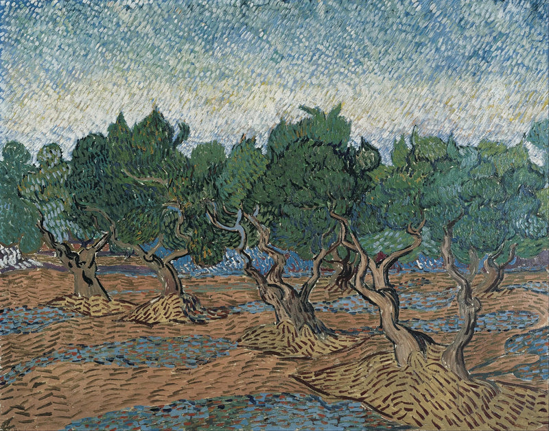 Olival - Vincent van Gogh