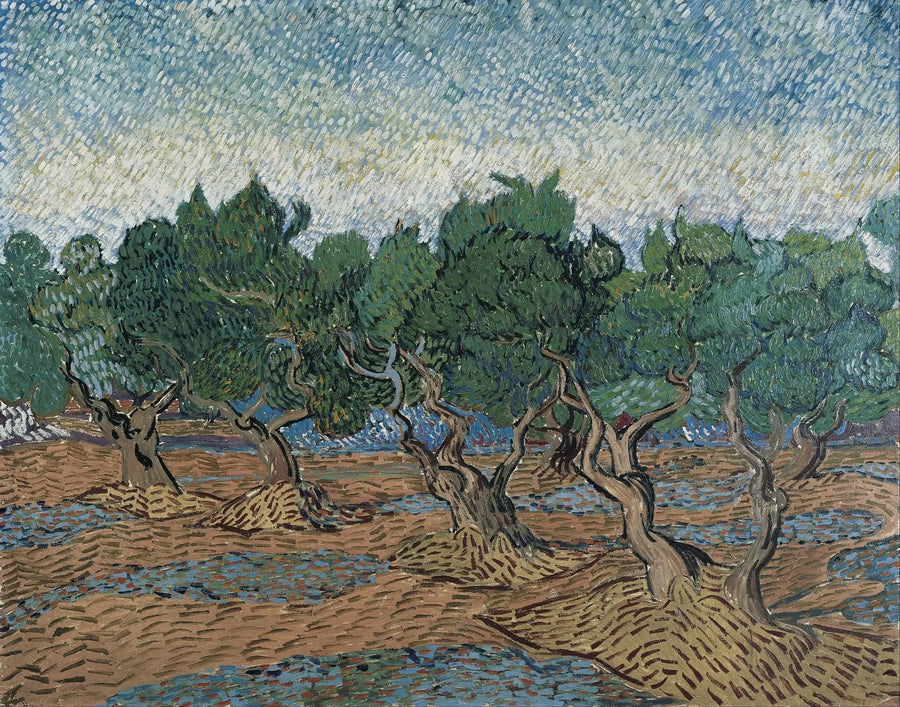 Olival - Vincent van Gogh