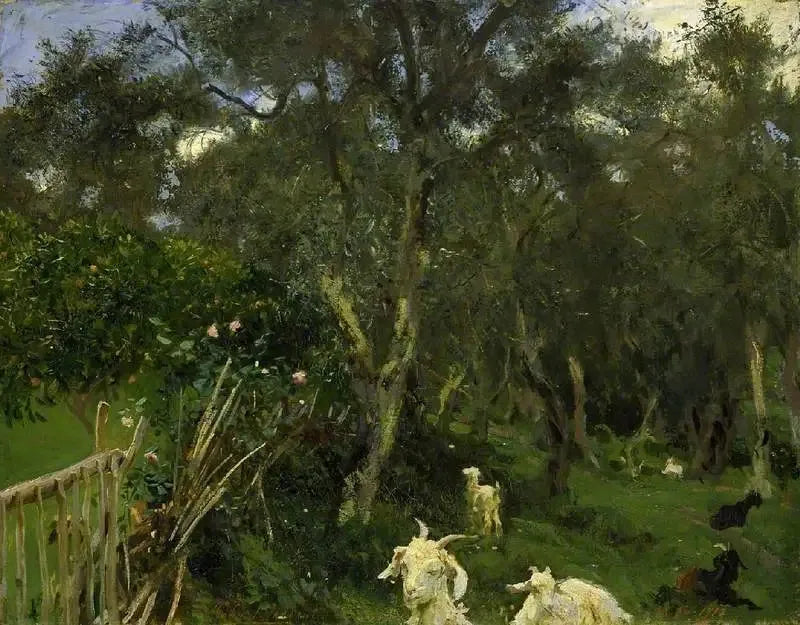 Azeitonas em Corfu - John Singer Sargent