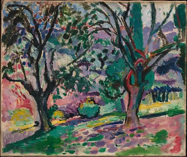 Oliveiras em Collioure - Henri Matisse