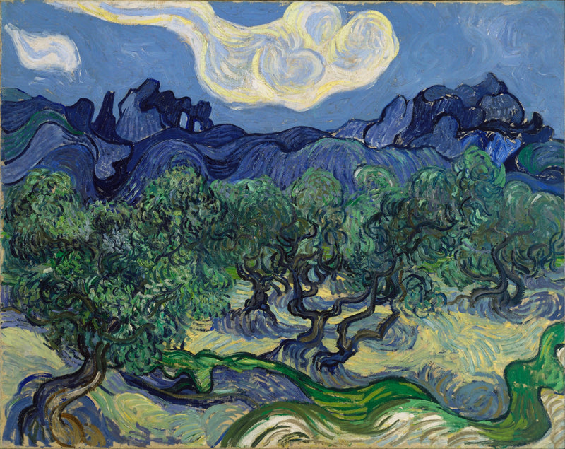 Oliveiras com os Alpilles ao fundo - Vincent van Gogh