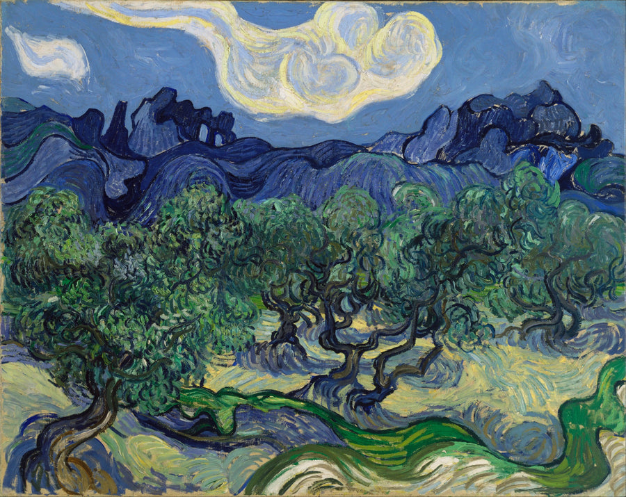 Oliveiras com os Alpilles ao fundo - Vincent van Gogh