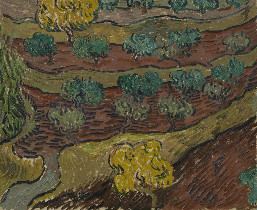 Oliveiras em uma colina - Vincent van Gogh