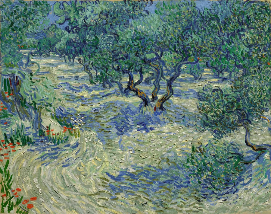 Olival - Vincent van Gogh