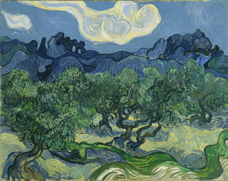 Oliveiras - Vincent van Gogh