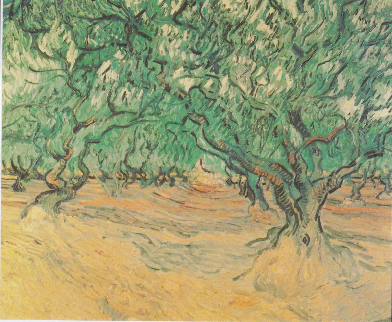 Oliveiras - Vincent van Gogh